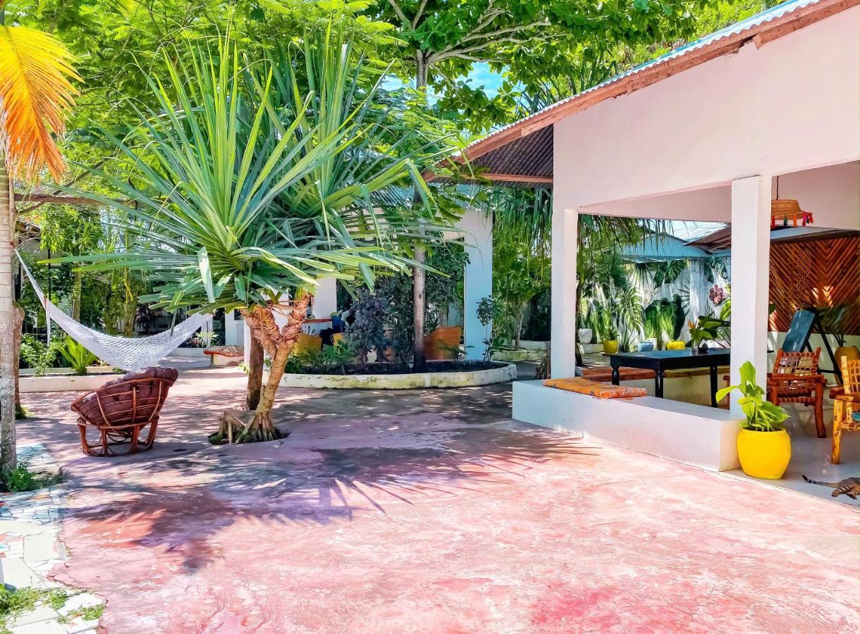 Papaya Guest House Нунгви Екстериор снимка